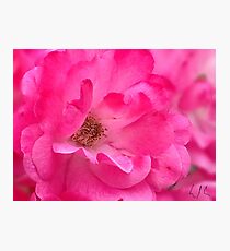 “Pink's Romance”, Photo Artwork Photographic Print