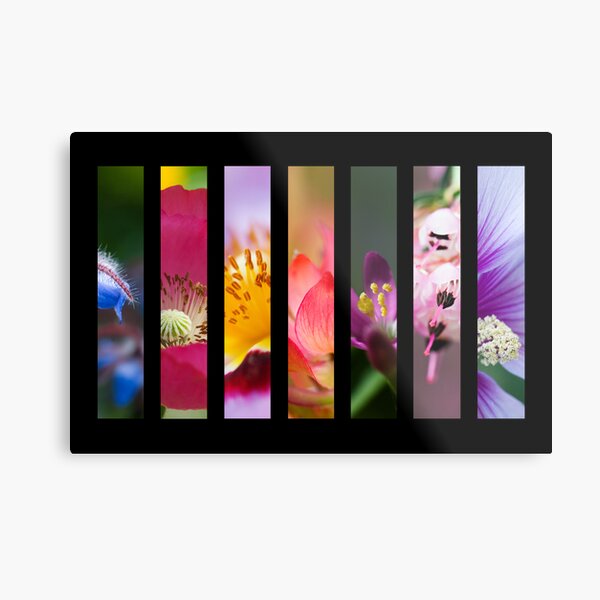 Perennial Bounty Metal Print
