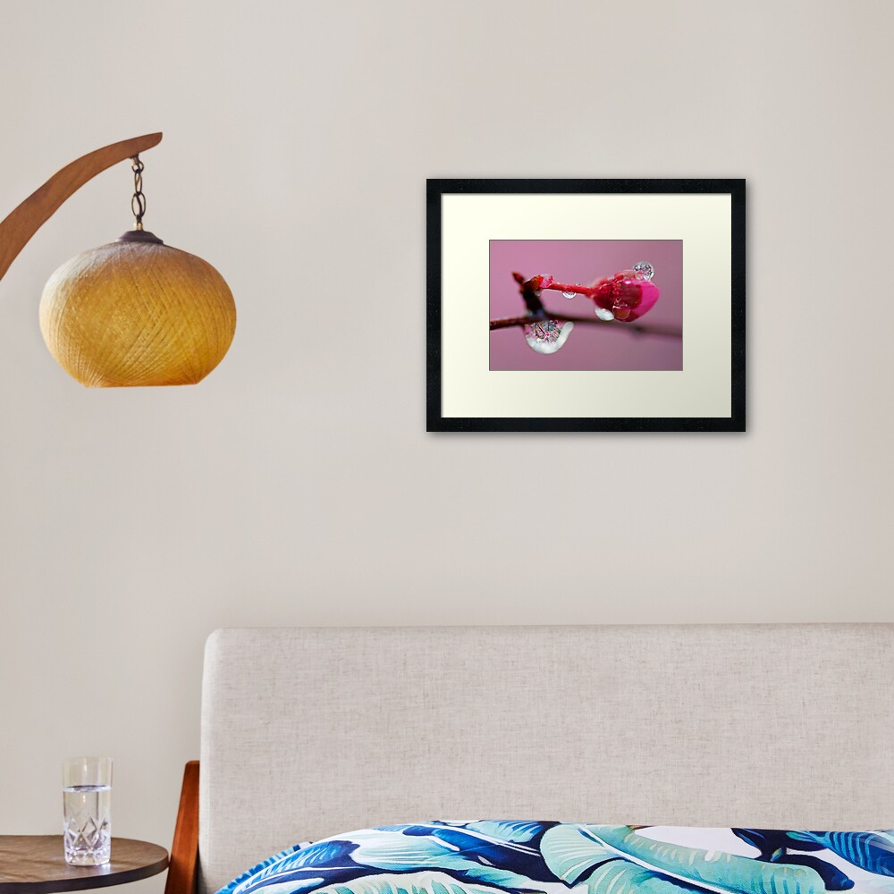 Spring Jewels Framed Art Print
