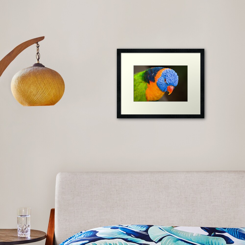 Stare Down Framed Art Print