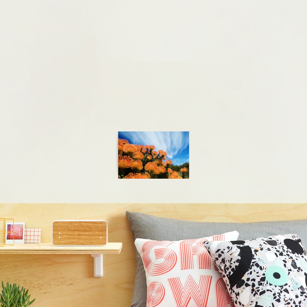 Incandescent Heights Photographic Print