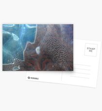 Condensation Postcards