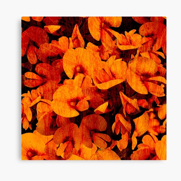 Wild Pea Canvas Print