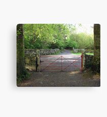 Coole Park Canvas Print