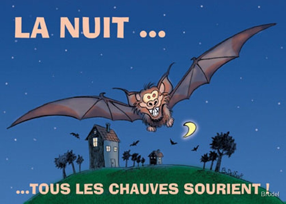 Bat 1 By Brudel Redbubble
