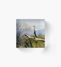 Heron on the Lune Acrylic Block