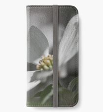 Dogwood Tree in Full Bloom This Season iPhone Wallet/Case/Skin