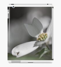 Dogwood Tree in Full Bloom This Season iPad Case/Skin