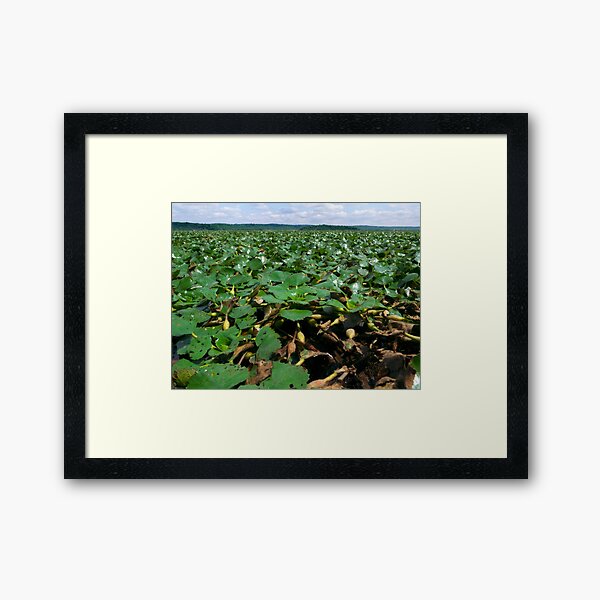 HectorCantres Shop Redbubble