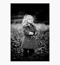 Fairyland Photographic Print