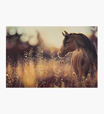 A Lovely Thought Photographic Print