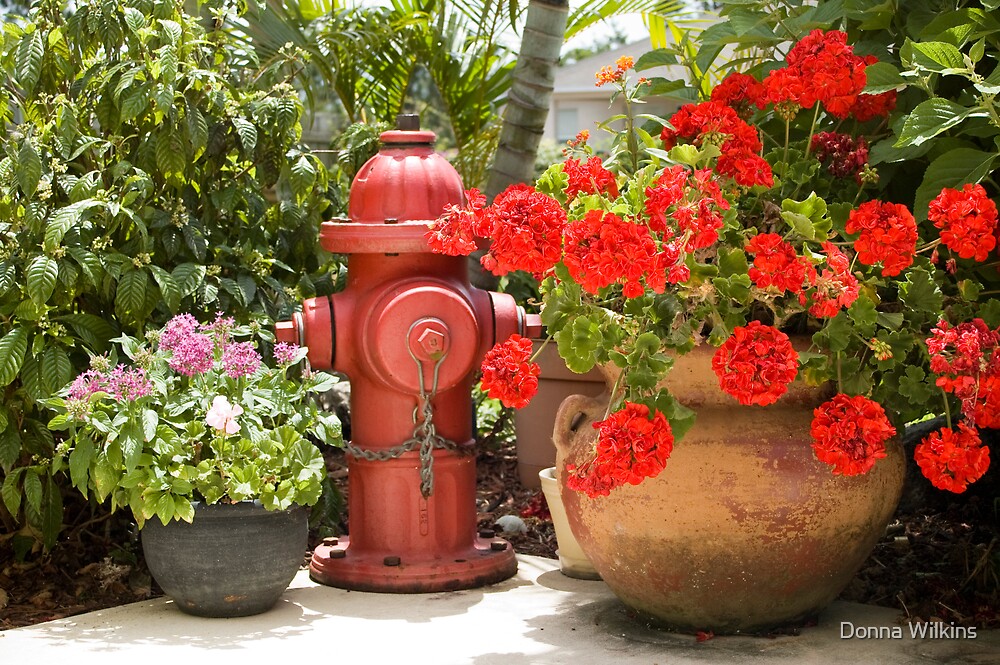 "Garden Hydrant" by Donna Adamski | Redbubble