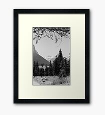 One got away Framed Print