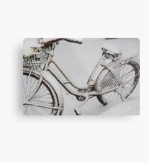 April Snow II Metal Print