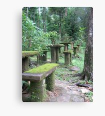 Paronella Park Canvas Print