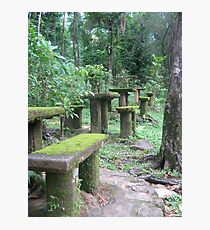 Paronella Park Photographic Print
