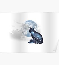 Star gazer Poster
