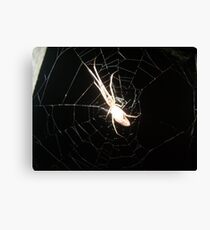 2009 Waiting For Lunch Canvas Print