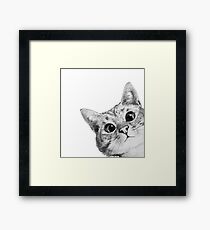 sneaky cat Framed Print