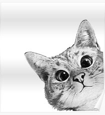 Póster gato furtivo