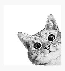 sneaky cat Photographic Print