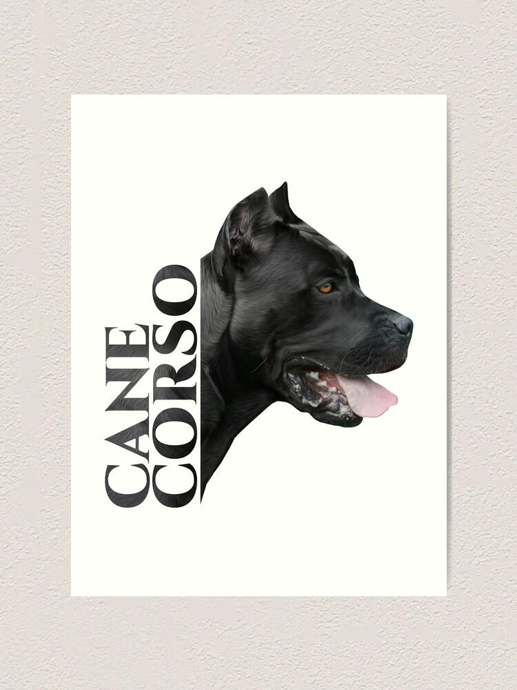 Cane Corso Italian Mastiff Art Print
