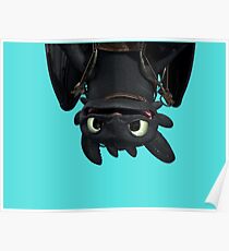 Upside Down Toothless Poster