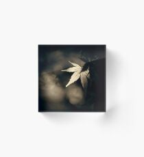 Mono-Maple Acrylic Block