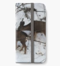 Deer in snow iPhone Wallet/Case/Skin