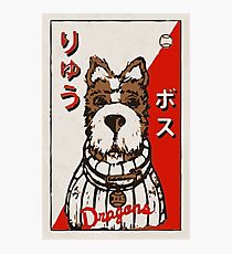 Isle of Dogs - Boss Baseball Card Photographic Print