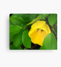 Yellow Beauty Metal Print