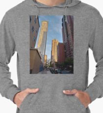 #Chambers, #Happiness, #Building, #Skyscraper, #NewYork, #Manhattan, #Street, #Pedestrians, #Cars, #Towers, #morning, #trees, #subway, #station, #Spring, #flowers, #Brooklyn  Lightweight Hoodie