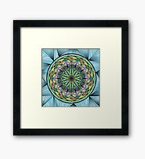 ZS Zenta 009© Framed Print
