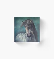 pintura oleo Acrylic Block