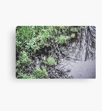 Rain Water Canvas Print