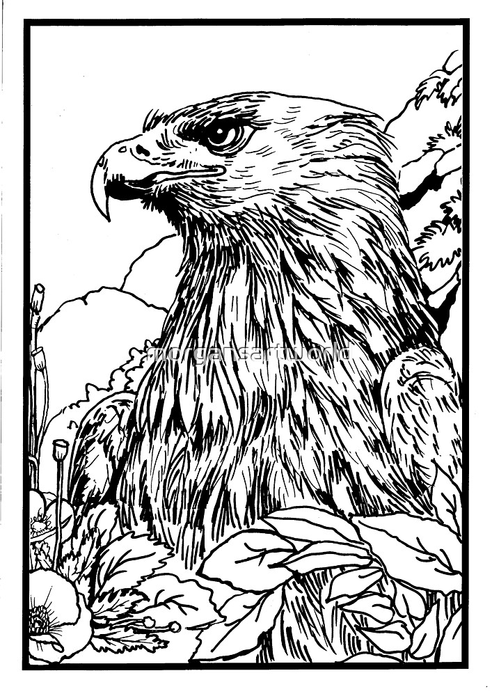 "Pen and Ink collection eagle" by Redbubble