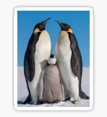 Emperor Penguins and Chick - Snow Hill Island Sticker