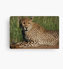 Close Encounter Canvas Print