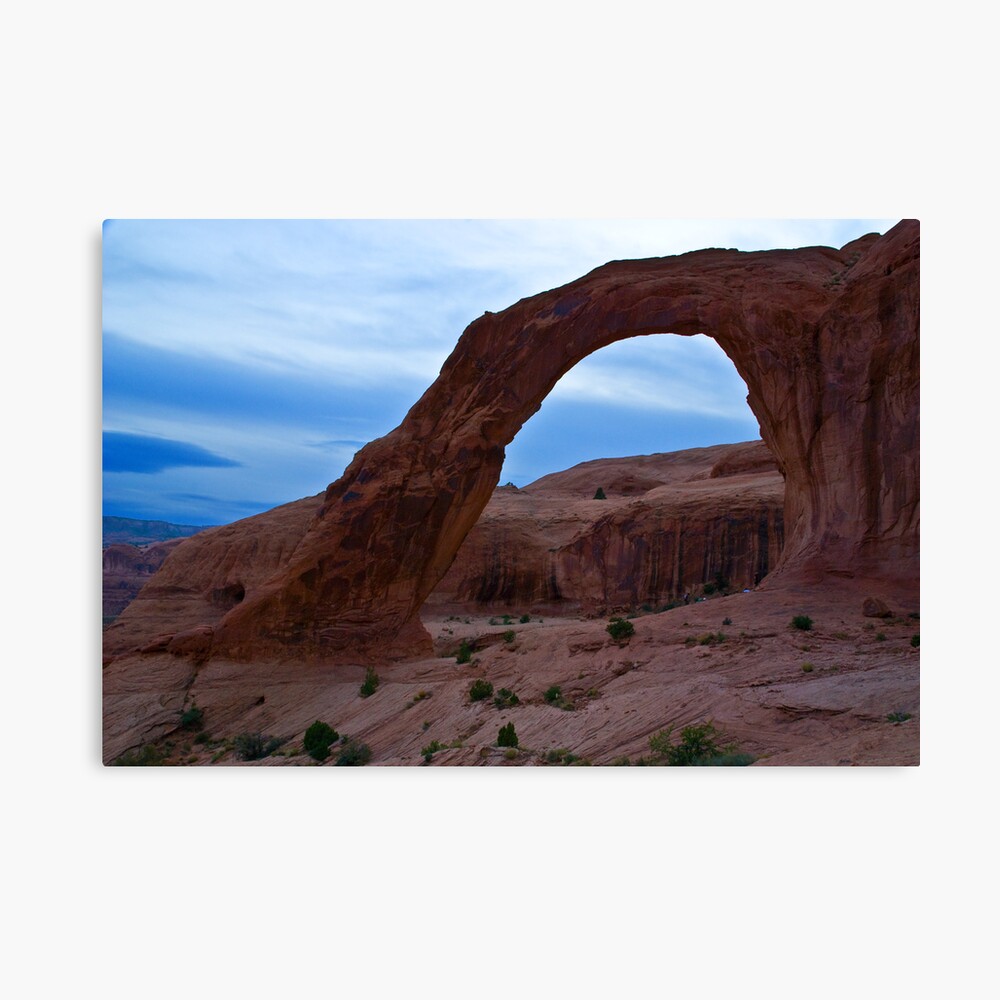 Looking West Canvas Print
