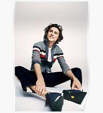 Póster timothee chalamet