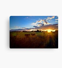 Ei ,Ei,O Canvas Print