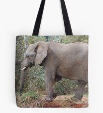 Strolling Tote Bag
