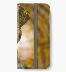 Our Lady of Fatima iPhone Wallet/Case/Skin