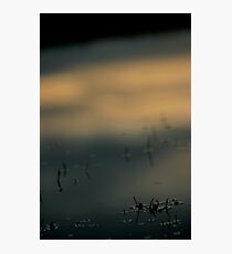 water Photographic Print