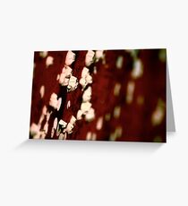 Barnacles Greeting Card