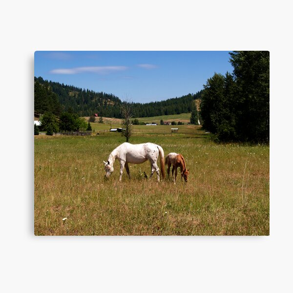Lunch With Mom Canvas Print