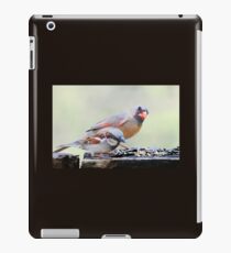 Table for two... iPad Case/Skin