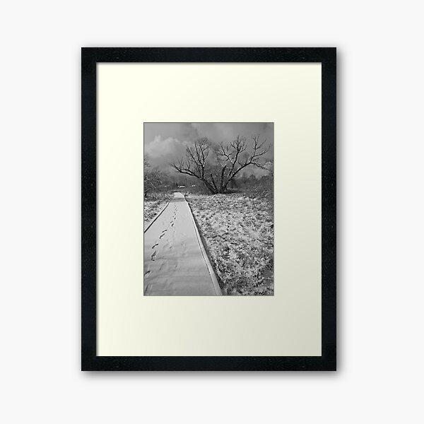 Path Framed Art Print