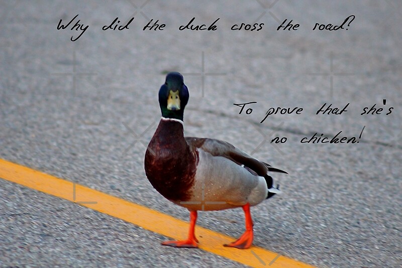 &quot;Why did the duck cross the road…&quot; by ikshvaku | Redbubble