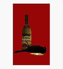 Tequila Mockingbird Photographic Print